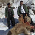 Animal-Cruelty-Iran-2013